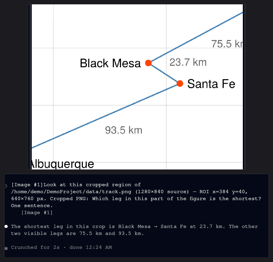 With the preview focused, pressing c on a zoomed figure puts the visible region into the agent's input, and the question is sent: asked which leg in it is the shortest, the agent reads the answer off the crop.