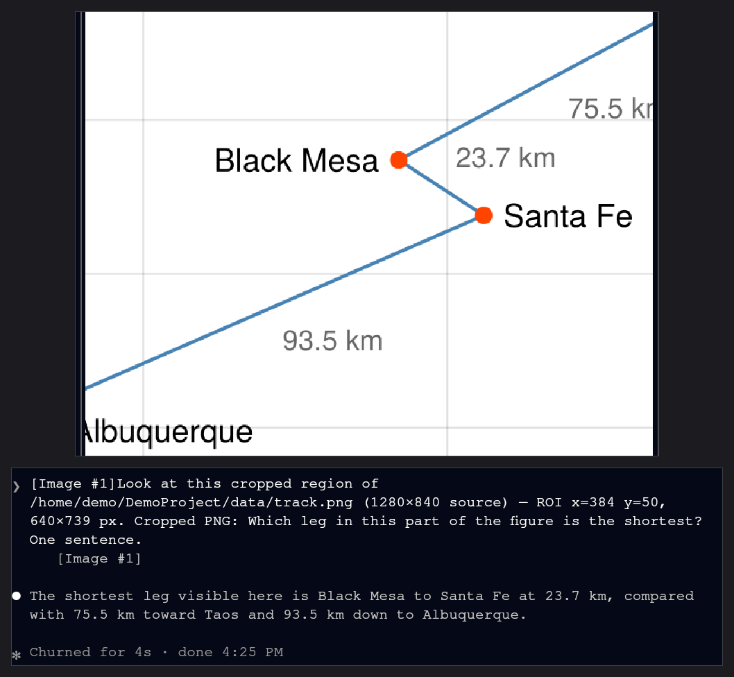 With the preview focused, pressing c on a zoomed figure puts the visible region into the agent's input, and the question is sent: asked which leg in it is the shortest, the agent reads the answer off the crop.